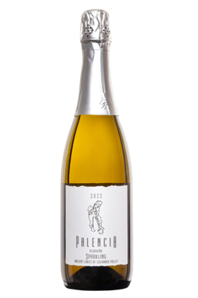 2025 Palencia Sparkling Albariño