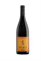 2020 Palencia Syrah