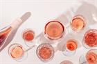 Rosé Wine & Cheese Pairing Class, May 13th, 2023