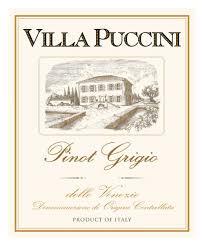 Villa Puccini Pinot Grigio, 2023