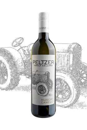 2024 MUSCAT CANELLI