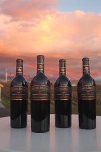 PB Cab Sauv Vertical ('16, '17, '18, '19)