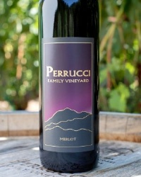 2019 Merlot
