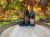 Winter Warmth Three Pack