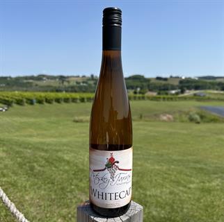 BTL 24 WhiteCap