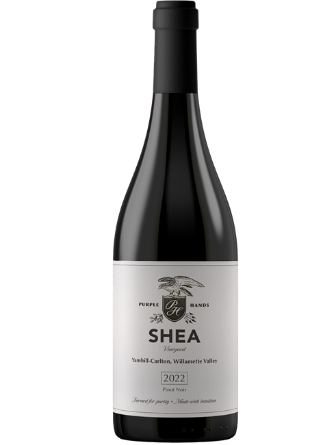 Shea Vineyard Pinot Noir 2022