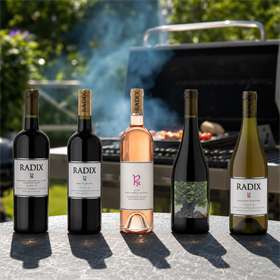 Summer BBQ Collection