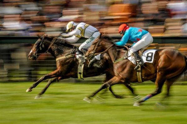 Member's gold cup ticket for two