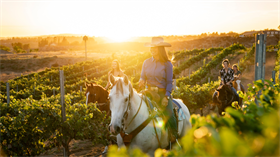 Vines & Views Horseback Tour