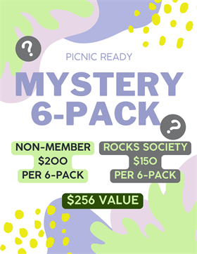 Picnic Ready Mystery 6-pack