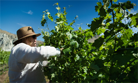 8.15 Rhone Class in Chelan