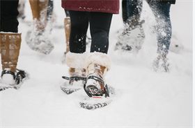 Snowshoe in the Vineyard Tour