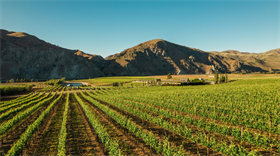 5.17 Sauv Blanc Class in Leavenworth