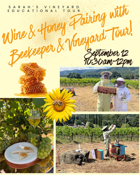 Wine & Honey Pairing with Tour