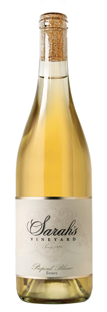 2025 Picpoul Blanc