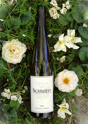 2025 Pinot Gris
