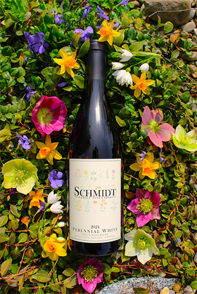 2024 Perennial White