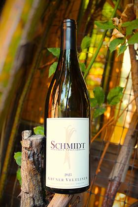 2025 Grüner Veltliner