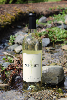 2025 Sauvignon Blanc