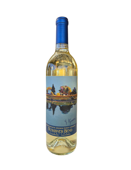 Pinot Grigio