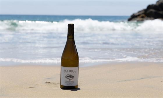2024 Chardonnay