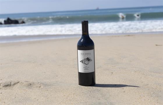 2023 Merlot
