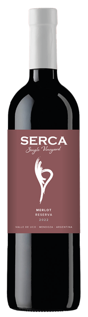 2022 Merlot Reserva