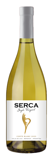 2024 Corte Blanc