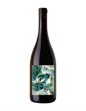 2024 Picpoul Blanc