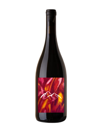 2023 Echo - Barbera