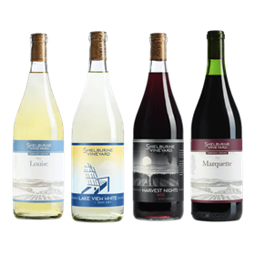 The Shelburne Vineyard Experience