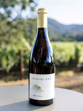 2022 Chardonnay Buena Tierra Vineyard 750ml