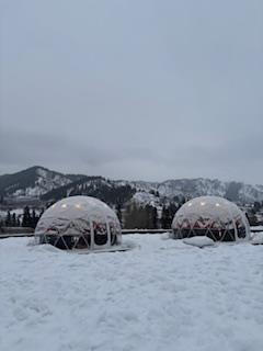 $90 Igloo Deposit