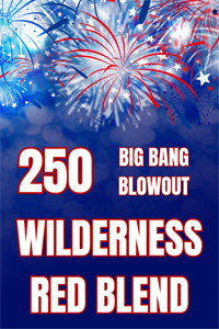 Big Bang Blowout 2023 Wilderness Case