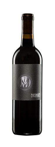 2020 Evermore Old Vines Cabernet Sauvignon