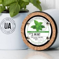 Herb Enamel Grow Kit | Mint