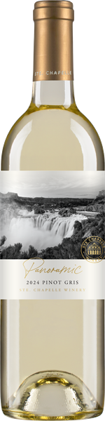2024 Panoramic Pinot Gris