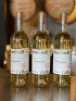 6 PACK   2019 Sauvignon Blanc