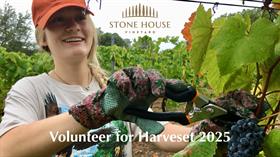 Volunteer for Harvest 2025
