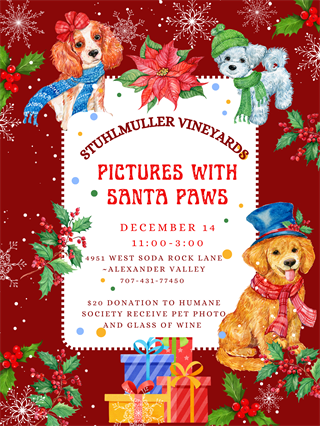 Pictures with Santa Paws