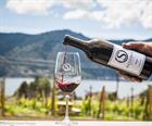 $80 May Wine Club Party Ticket - Guest