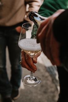 • Holiday Survival 6 Bottle Holiday Collection