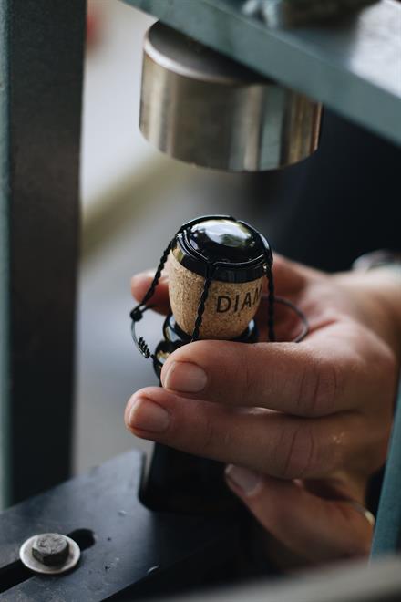 2019 Brut Rosé Scintillation