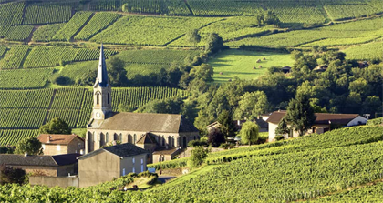 Burgundy Winemakers Event, March 6th, 4-6pm