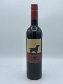 Casa Santos Lima Lab Red 2021