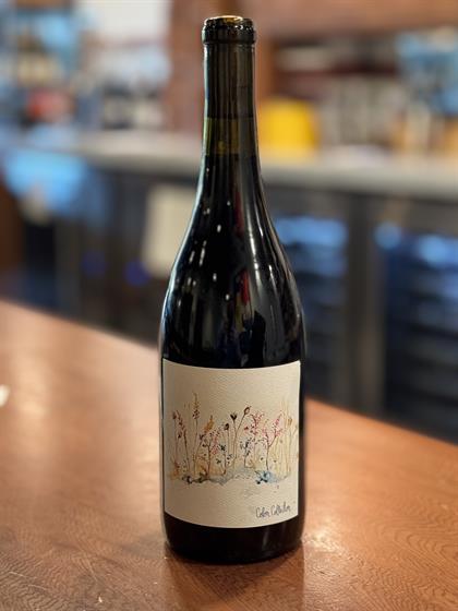 Color Collector Gamay Noir 2024