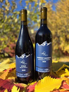 Telaya Wine 2025 Thanksgiving Bold Reds