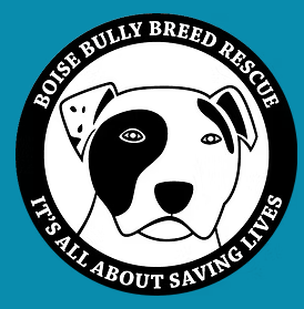 Boise Bully Breed Rescue Donation