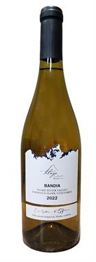 2024 Picpoul Blanc
