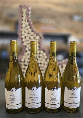 2023 White Wine DTMB 6 Bottles